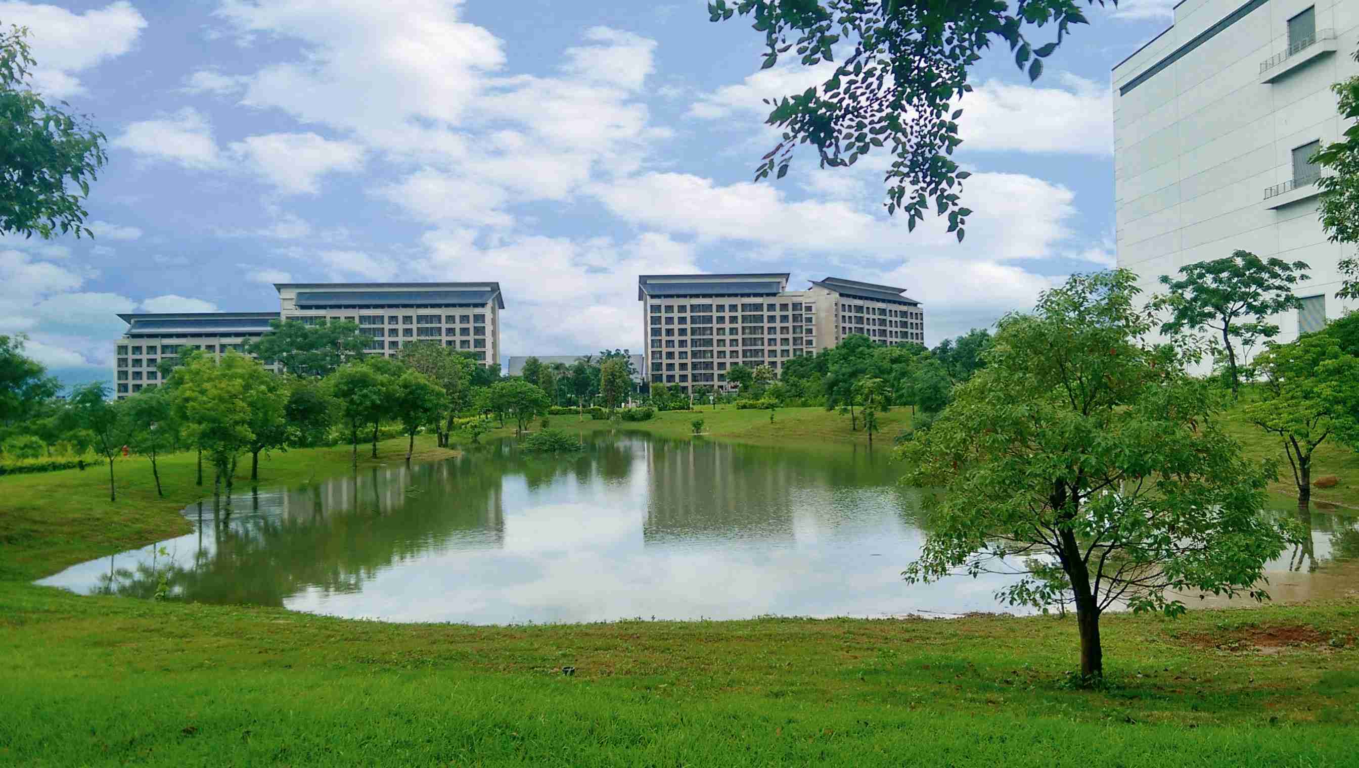 开云电子响应国际倡议生物多样性趋势，，，首次发布TNFD自然相关财务揭露报告书，，擘划及开展开云电子生物多样性政策之承诺，，，逐步迈向与自然和谐共生